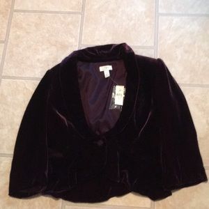Ann Taylor velvet blazer